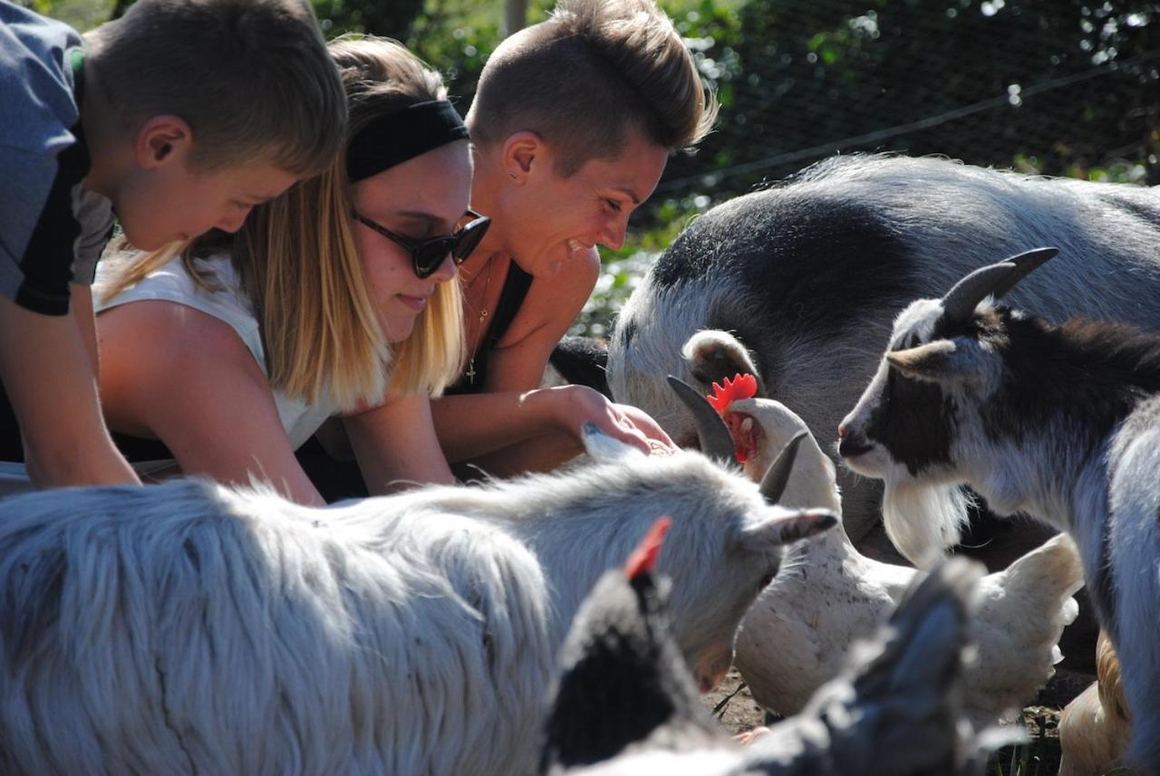 Hotel Delny Glamping And Farm Animals Invergordon Esterno foto